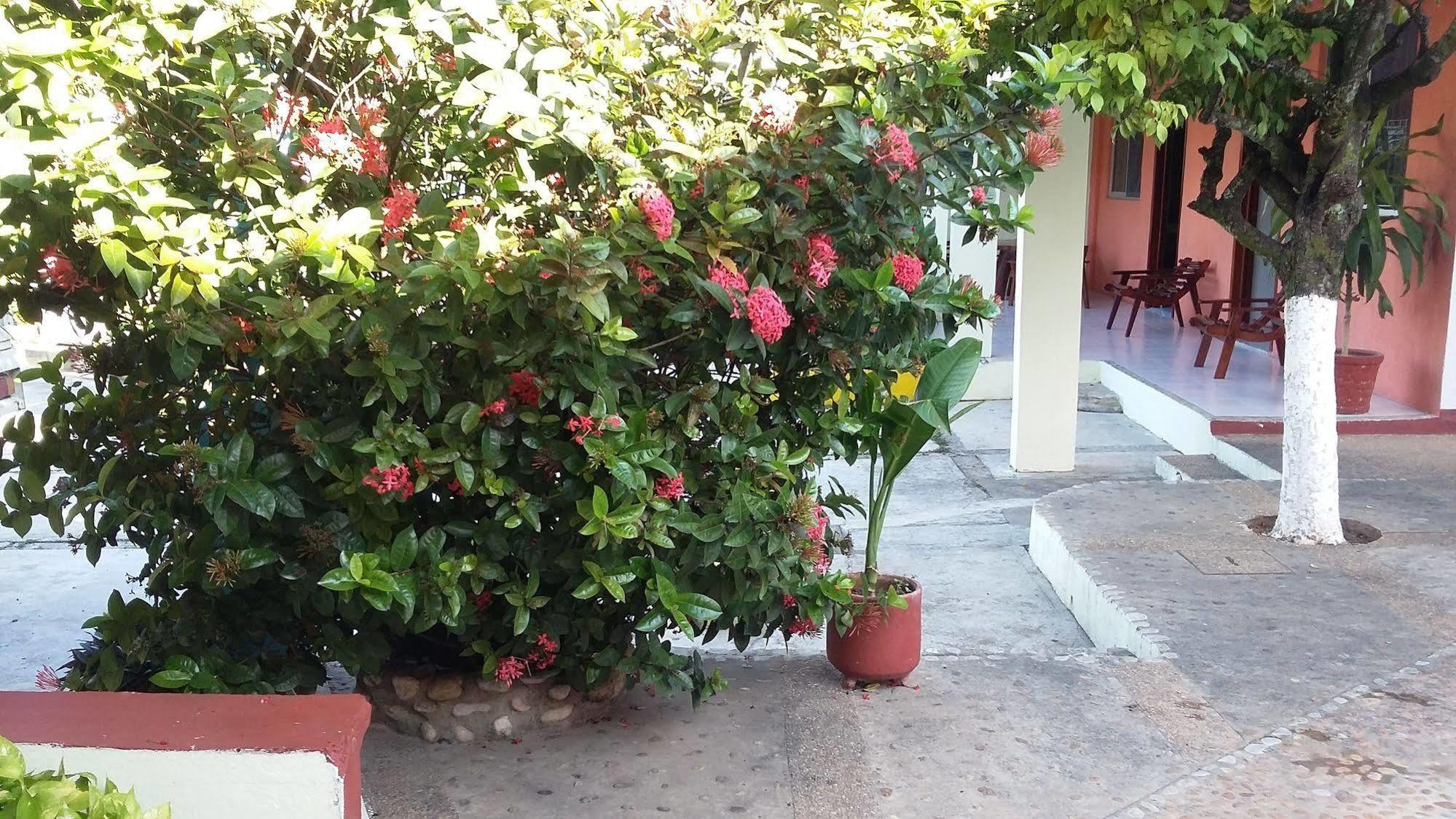 פלנקה Hotel Mallorca מראה חיצוני תמונה